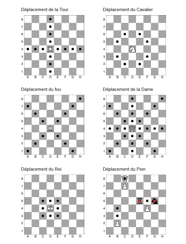 Aperçu des déplacements de chaque pièce sur un échiquier